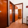 Отель Apartments Rajko, фото 13