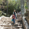 Отель Hoi An Town Of Viet House Homestay, фото 32