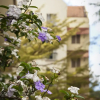 Отель Four Points By Sheraton Arusha The Arusha Hotel, фото 26