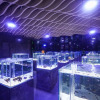 Отель Sanya Discovery Ocean World, фото 16