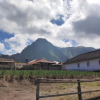 Отель Homestay Wonotoro Asri 4 Gunung Bromo, фото 9