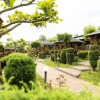 Отель Complex Turistic Darina Sancraiu de Mures, фото 45