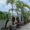 Отель Thiên Tài Hotel, фото 20