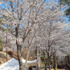 Отель Miryang Myway Resort, фото 1