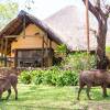 Отель Chobe Marina Lodge, фото 16