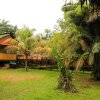 Отель Cabaña Amazon Lodge, фото 21