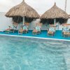 Отель Ocean Front Property - Villa 3 Aruba with Hot Tub, фото 1