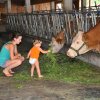 Отель Urlaub am Bauernhof Familie Harald Gänser, фото 24