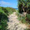 Отель Casuarina Beach Haven - Pandanus 6, фото 17