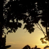 Отель La Fuente del Amazonas Lodge, фото 7