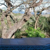 Отель Kosi Moon Bed and Breakfast, фото 4