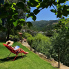 Отель Casas De Pousadouro, фото 33