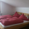 Отель Ferienwohnung Hörnerblick - Ehlig, фото 7