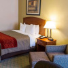 Отель Comfort Inn, фото 3