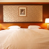 Отель Nara Hotel, фото 10