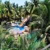 Отель Coconut Ivy Resort, фото 40
