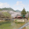 Отель Suncheon Pool Valley Pension, фото 24