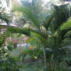 Отель Gogo Cottages, фото 15