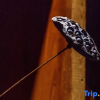 Отель Mosu | Mount Huangshan Street, Designer Zhenpin B&B (Tunxi Old Street Store), фото 20