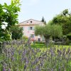 Отель Superbe Mas Provençal 600m2 avec une Superbe Piscine Chauffée et très grand jardin 9000m2, situé au , фото 17
