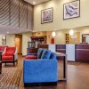 Отель Comfort Suites Florence - Cincinnati South, фото 43
