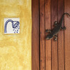Отель Iguana Azul - Hostel, фото 2