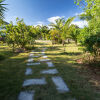 Отель Pineapple Fields, фото 23