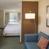 Отель Springhill Suites Atlanta Six Flags, фото 3