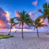 Отель Surf & Sand Hotel, фото 12