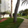 Отель Apartamentos Tres Carabelas 3000, фото 1