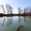 Отель La Casetta Sul Lago B&B, фото 4