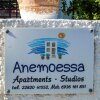 Отель Anemoesa в Андросе