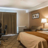 Отель Comfort Inn Dryden, фото 5