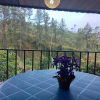 Отель Mount Crest Lodge, фото 17