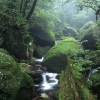 Отель Yakushima Refresh Room, фото 15