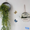 Отель Fangchenggangdu Shibeiyuan Homestay, фото 1