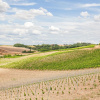 Отель Belvilla by Oyo Il Poggiale-app7-8, фото 13