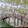 Отель Greentree Inn Langfang Dachang Studio City, фото 15