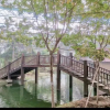Отель GreenTree Inn Langfang Dachang Studio City, фото 14