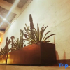 Отель Door Woodworks Homestay, фото 5
