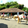 Отель Fazenda Fonte Colina Verde, фото 23