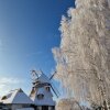 Отель Mecklenburger Mühle, фото 29