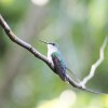 Отель Tambopata Ecolodge, фото 19