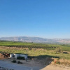 Отель לא רלוונטי, фото 1