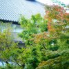 Отель 1000 Years of Tradition - Akiu Onsen Sakan, фото 31