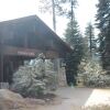 Отель Wuksachi Lodge в Национальном парке Sequoia