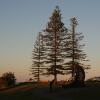 Отель Port Macquarie Motel, фото 50