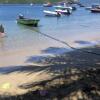 Отель Habitation SANTOS 4 personnes Terre de Haut Les Saintes, фото 4