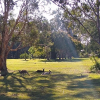 Отель Lake Weyba Noosa Lodge & Kangaroos, фото 20