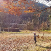 Отель Boeun Glamping, фото 5